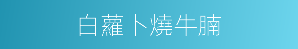 白蘿卜燒牛腩的同義詞