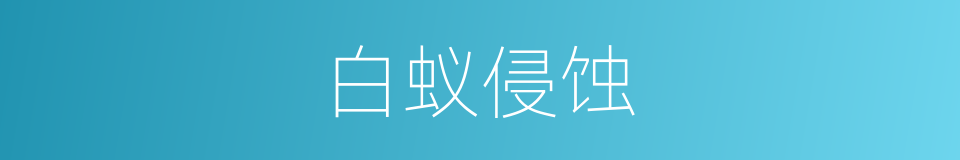 白蚁侵蚀的同义词