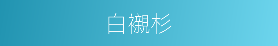 白襯杉的同義詞