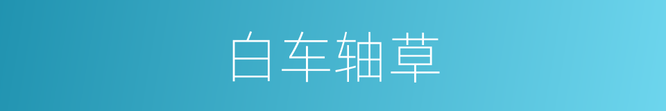 白车轴草的同义词