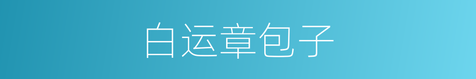 白运章包子的同义词