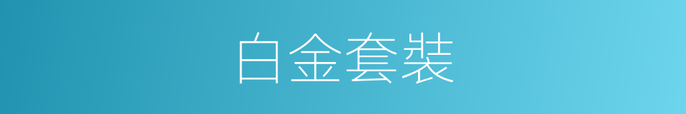 白金套裝的同義詞