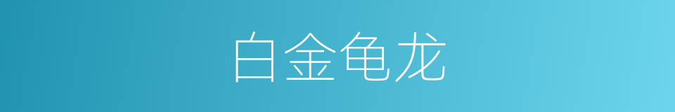 白金龟龙的意思