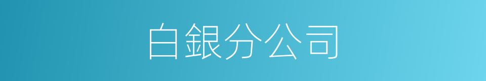 白銀分公司的同義詞