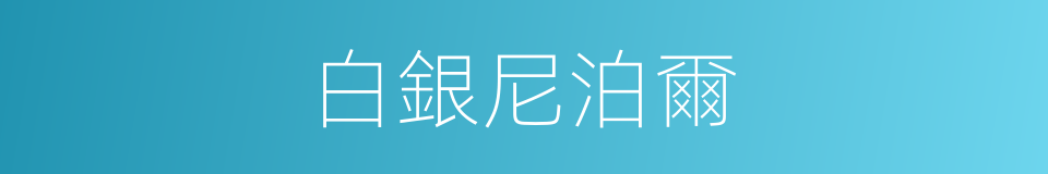 白銀尼泊爾的同義詞