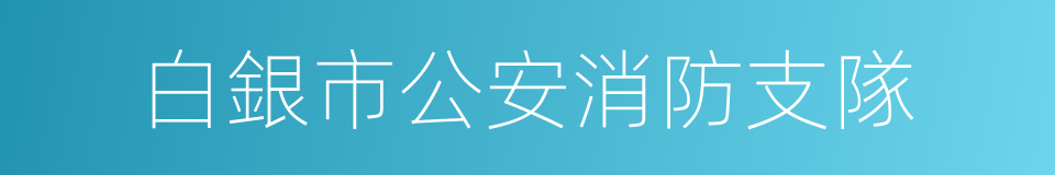 白銀市公安消防支隊的同義詞