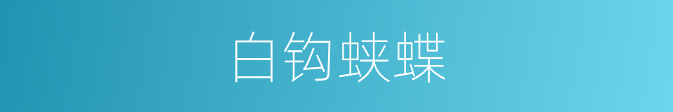 白钩蛱蝶的同义词