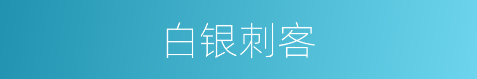 白银刺客的同义词