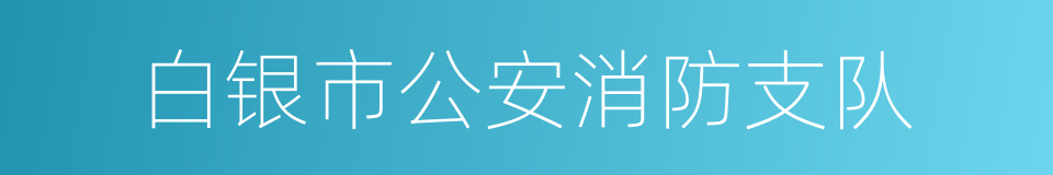 白银市公安消防支队的同义词