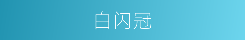 白闪冠的同义词