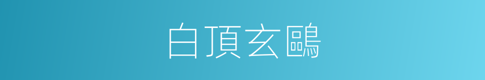 白頂玄鷗的同義詞