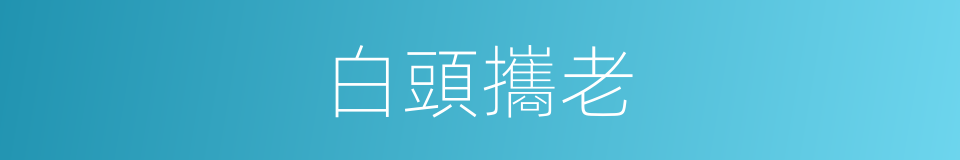 白頭攜老的意思