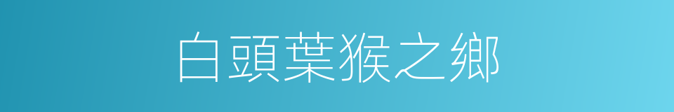 白頭葉猴之鄉的同義詞