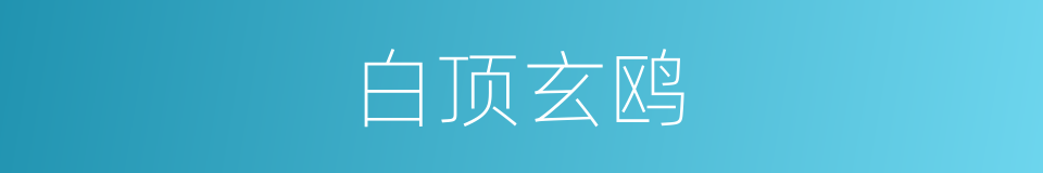 白顶玄鸥的同义词