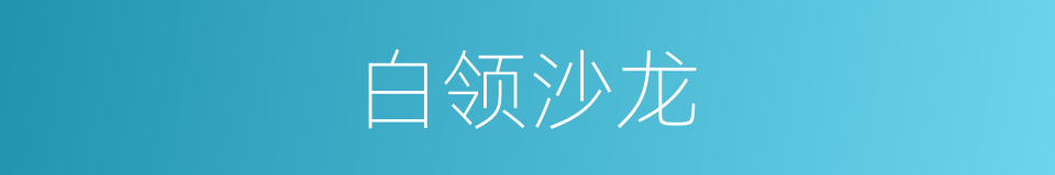 白领沙龙的同义词