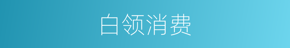 白领消费的同义词