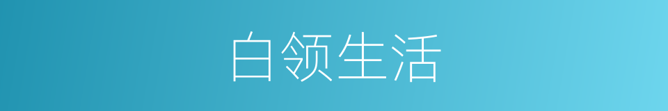 白领生活的同义词