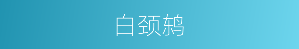 白颈鸫的同义词