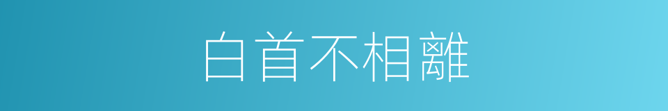白首不相離的同義詞