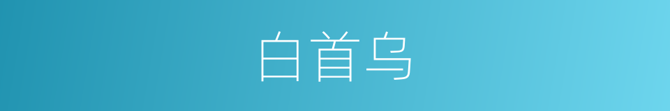 白首乌的同义词