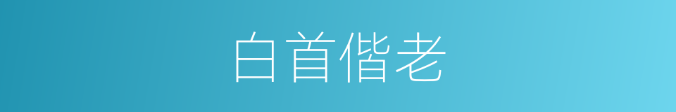 白首偕老的同义词