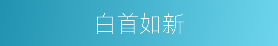 白首如新的意思