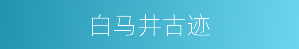 白马井古迹的同义词