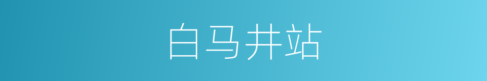 白马井站的同义词