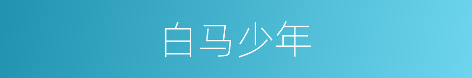白马少年的同义词