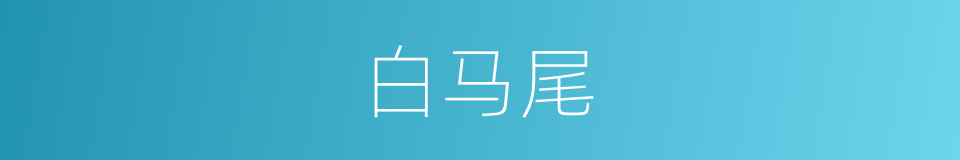 白马尾的同义词