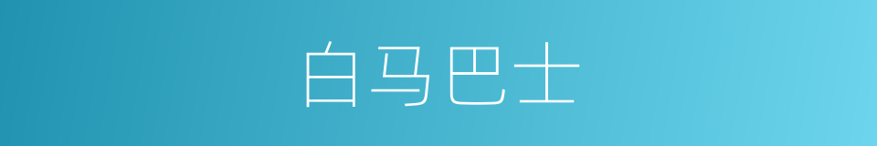 白马巴士的同义词