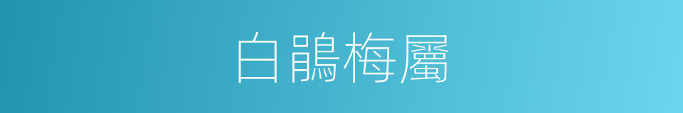 白鵑梅屬的同義詞