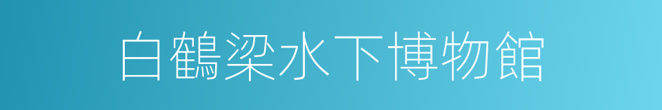 白鶴梁水下博物館的同義詞