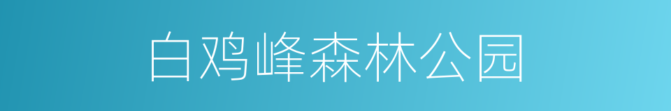 白鸡峰森林公园的同义词