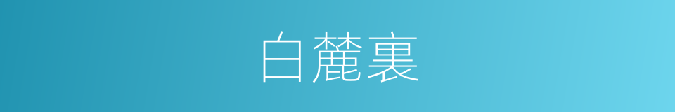 白麓裏的同義詞