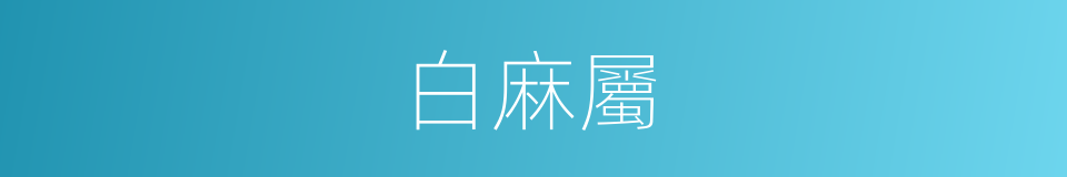 白麻屬的同義詞