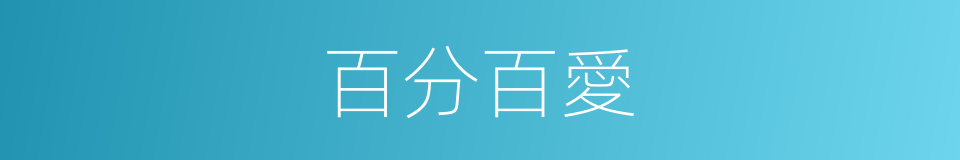 百分百愛的同義詞