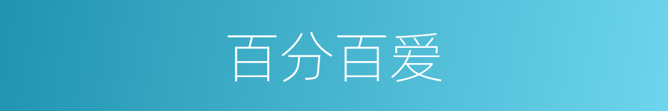 百分百爱的同义词