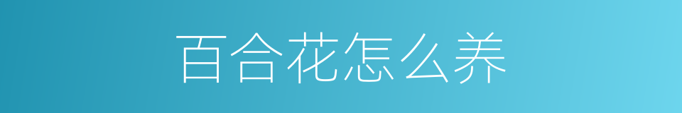 百合花怎么养的同义词