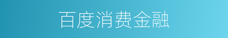 百度消费金融的同义词