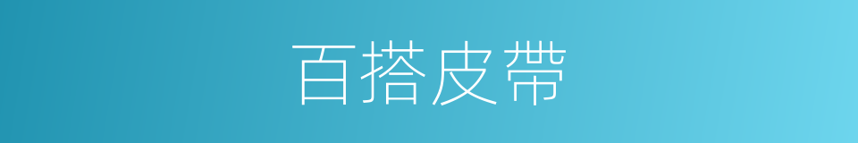 百搭皮帶的同義詞