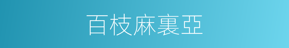 百枝麻裏亞的同義詞