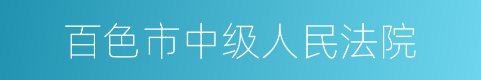 百色市中级人民法院的同义词