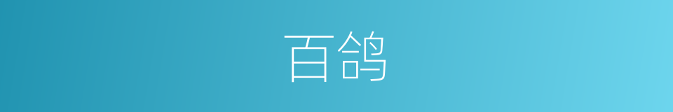 百鸽的同义词