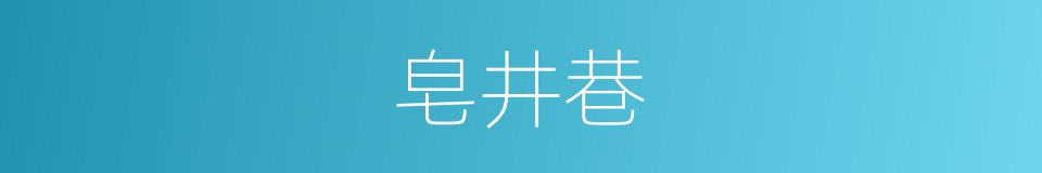 皂井巷的同义词