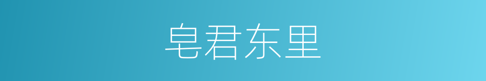 皂君东里的同义词