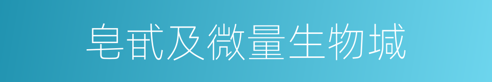皂甙及微量生物堿的同義詞