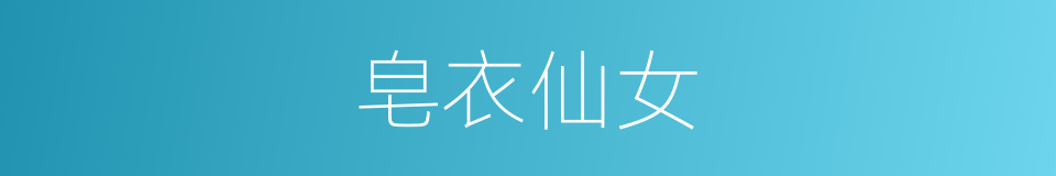 皂衣仙女的同义词
