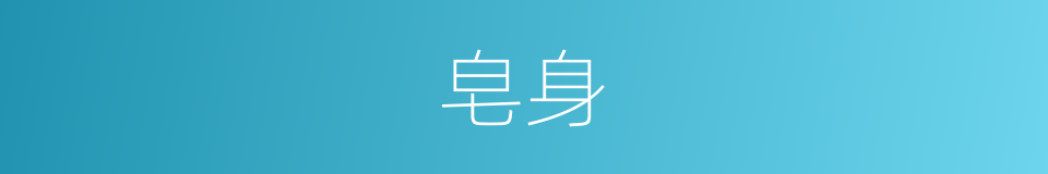 皂身的同义词