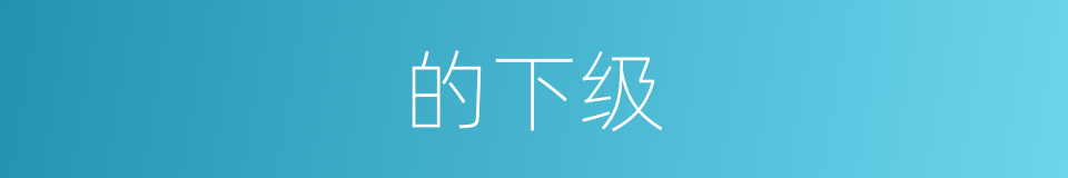 的下级的同义词